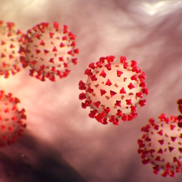 - The coronavirus is shown in a CDC image. CDC images